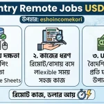 Data Entry Remote Jobs USD Salary