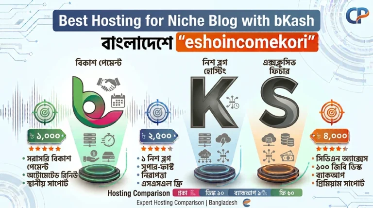  Best Hosting for Niche Blog with bKash