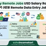 Data Entry Remote Jobs USD Salary Rate 2026 – বাংলাদেশ থেকে Remote Data Entry Job ও আয়